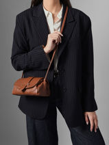 Shoulder Bag S Agnes Leather Etrier Brown agnes EAGC205S-vue-porte